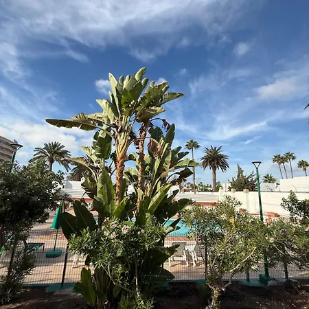 Felicidad Playa del Ingles (Gran Canaria)