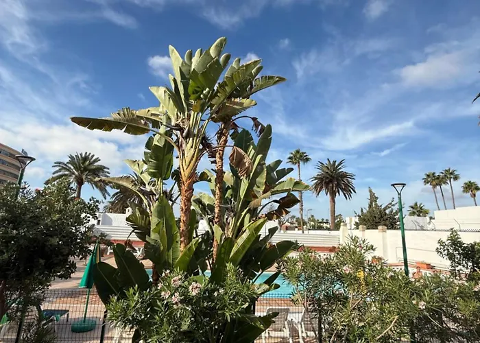 Felicidad プラヤ・デル・イングレス